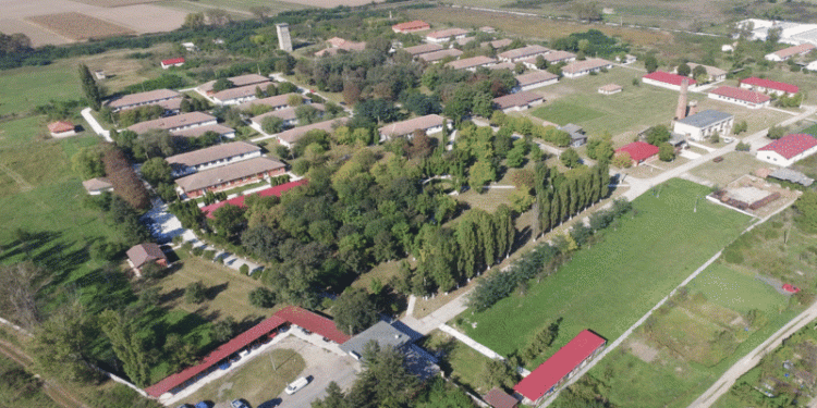 CJSU Timiș a actualizat lista localităților în care se aplică restricții. Jebelul a depășit incidența de 7,5 la mie