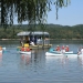 Între nuferi, păsări și pești. Se reiau plimbările cu catamaranul pe Lacul Surduc