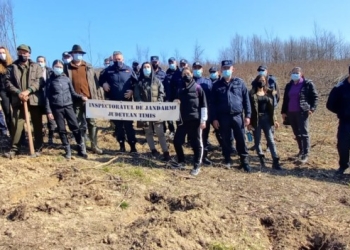 Timiș: Donare de sânge, plantare de copaci și avansări în grad, de Ziua Națională a Jandarmeriei