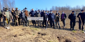 Timiș: Donare de sânge, plantare de copaci și avansări în grad, de Ziua Națională a Jandarmeriei