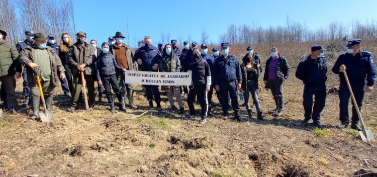 Timiș: Donare de sânge, plantare de copaci și avansări în grad, de Ziua Națională a Jandarmeriei