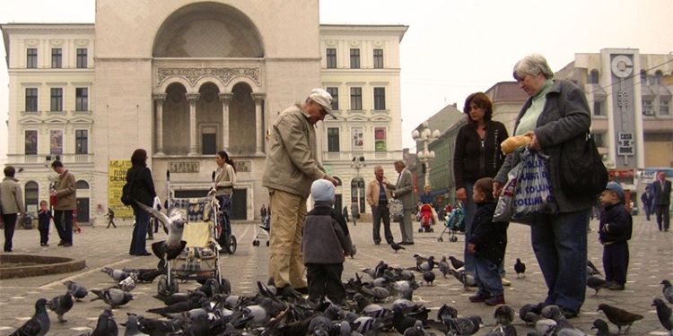 Hrănirea porumbeilor, interzisă la Timișoara