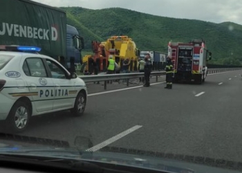 Bizoni în trafic! A intrat cu tirul pe contrasens, pe autrostrada Vestului
