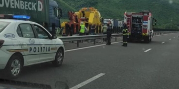 Bizoni în trafic! A intrat cu tirul pe contrasens, pe autrostrada Vestului