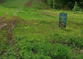 Plimbare ”de lux” cu ATV-ul. 7.000 de lei amendă pentru patru turiști din Caraș-Severin