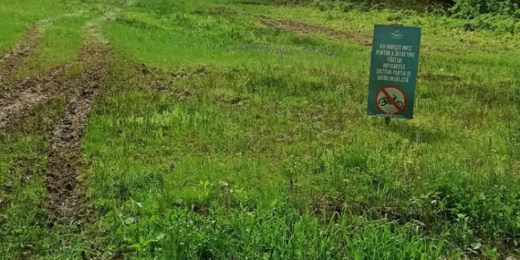 Plimbare ”de lux” cu ATV-ul. 7.000 de lei amendă pentru patru turiști din Caraș-Severin