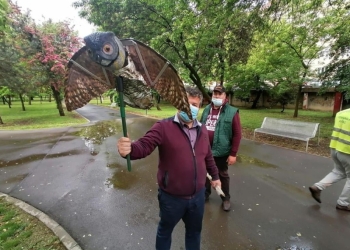 După metoda ”anticoncepționale pentru ciori”, vine ”metoda bufnița”. Cum încearcă o administrație din vestul țării să scape de ciori