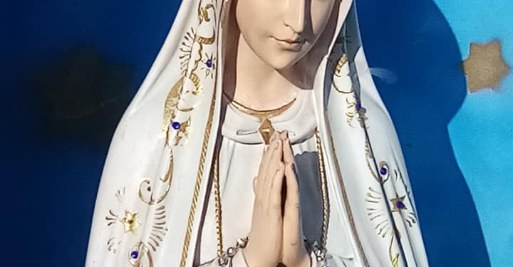 Pelerinaj la Sânandrei. Icoana Sfintei Maria plânge cu lacrimi de mir, la biserica din comună