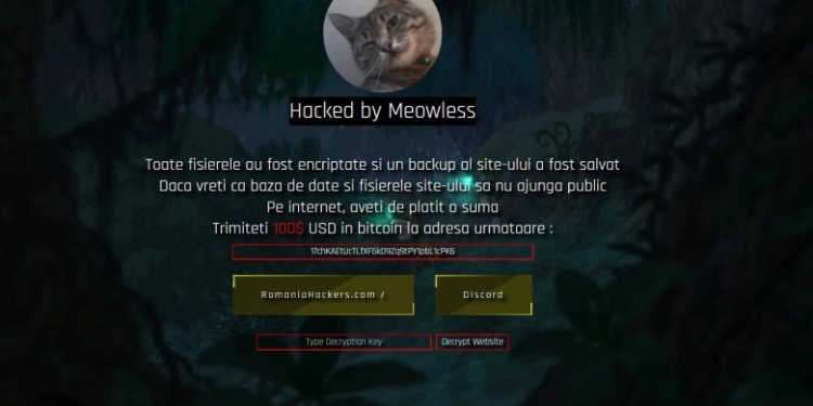 Pagina de internet a Consiliului Județean Cluj a fost atacată de hackeri