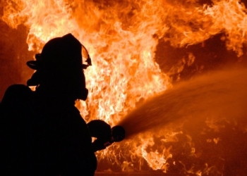 Incendiu de proporții într-o gospodărie din Timiș. 150 de păsări au pierit în flăcări