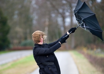 Cod galben de vânt în Timiș