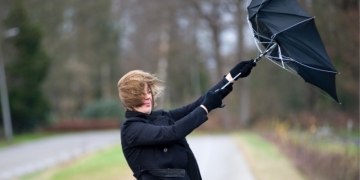 Cod galben de vânt în Timiș