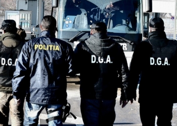 ”Operațiunea Șpaga” la Serviciul de Permise Timiș! 10 polițiști audiați