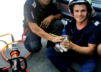 Pentru că sunt salvatori și pentru că orice viață contează! Pisic salvat de pompierii arădeni