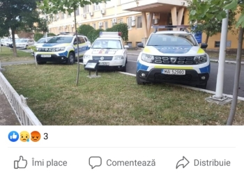 Parcare „a la polițiștii timișeni”. Pe spațiul verde, cu mult tupeu