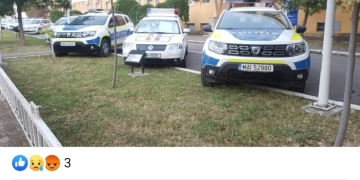 Parcare „a la polițiștii timișeni”. Pe spațiul verde, cu mult tupeu
