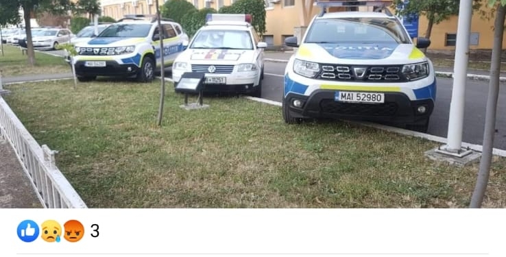 Parcare „a la polițiștii timișeni”. Pe spațiul verde, cu mult tupeu