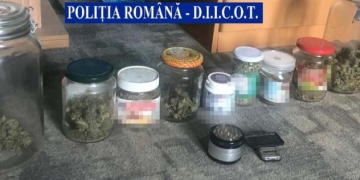 Droguri crescute în borcane de ciocolată de un tânăr din Timiș. Ce au găsit polițiștii în urma unor descinderi