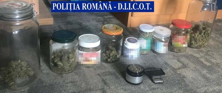 Droguri crescute în borcane de ciocolată de un tânăr din Timiș. Ce au găsit polițiștii în urma unor descinderi