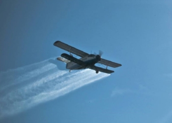 Primăria Cărpiniș începe campania de dezinsecție