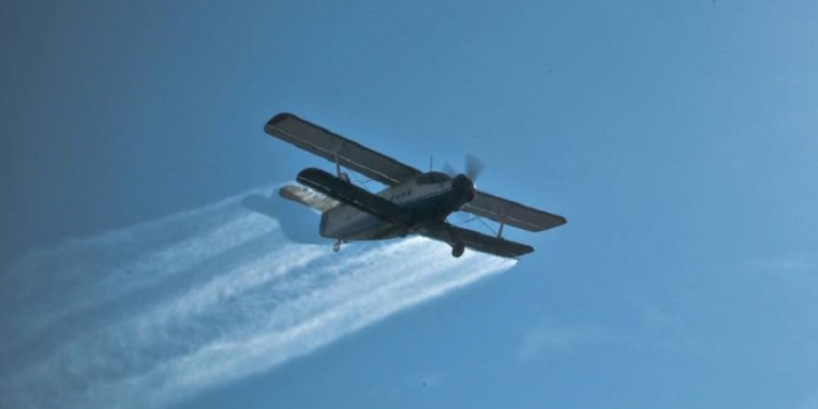 Primăria Cărpiniș începe campania de dezinsecție