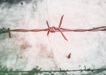 Șase migranți prinși în drum spre Timișoara. Șoferul lua câte 100 de euro de persoană