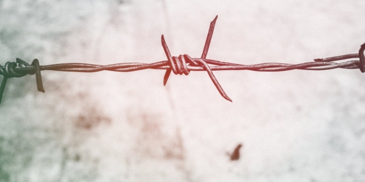 Șase migranți prinși în drum spre Timișoara. Șoferul lua câte 100 de euro de persoană