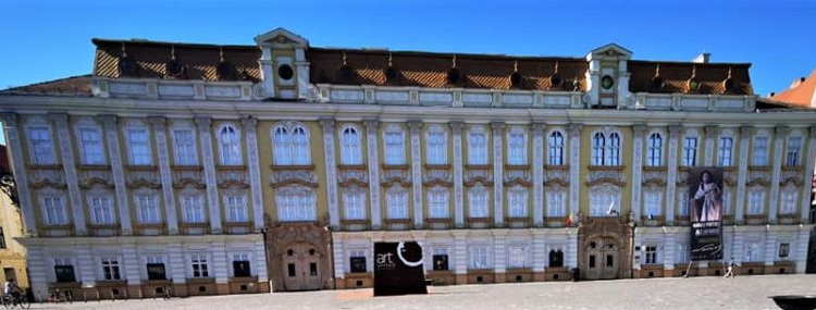 MNArT, neinteresant. Un singur candidat pentru concursul de director al Muzeului Național de Artă Timișoara