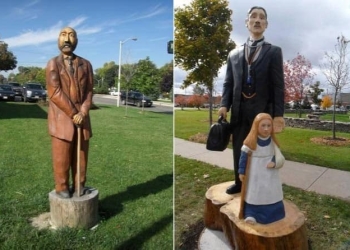 Inedit: În Timișoara, copacii uscați vor fi transformați în sculpturi