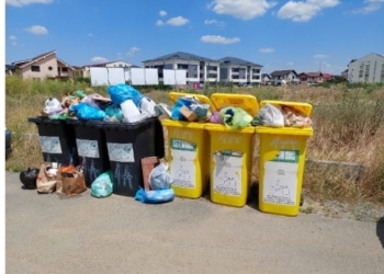 Pe strada Rozelor ”înflorește” gunoiul. Mizeria din Timișoara se extinde și la Giroc