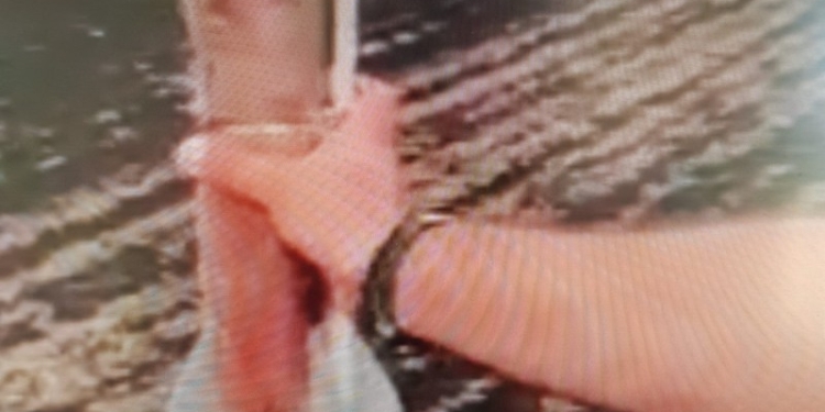 VIDEO Cultura de grâu a unui fermier distrusă de o rachetă antigrindină