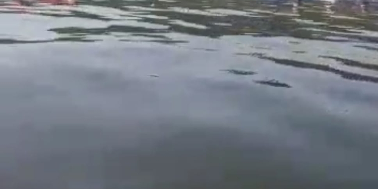 VIDEO. Incident grav pe Dunăre, la Orşova: un caiac în care se aflau 4 sportivi a fost lovit în plin de o barcă