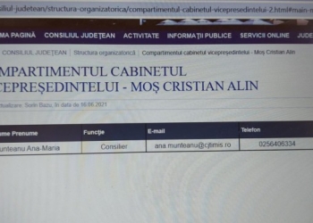 ”Agentul 007”, Ana Munteanu e oficial consilier personal în CJ Timiș. Până și această numire a fost făcută în mare secret