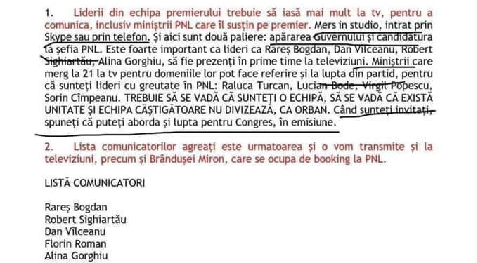 Consilier de stat ”prins” cu mâța-n sac! Făcea campanie pro-Cîțu în PNL din calitatea de angajat al Guvernului