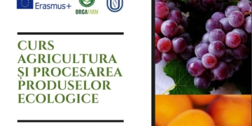 La Universitatea ”Aurel Vlaicu” din Arad se predă și agricultura viitorului