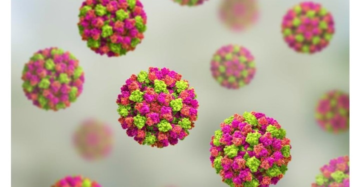 Epidemie de Norovirus la Râșnov