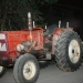 Moarte violentă pentru un bărbat din Timiș. Și-a găsit sfârșitul sub roțile unui tractor, sub privirile fiicelor sale