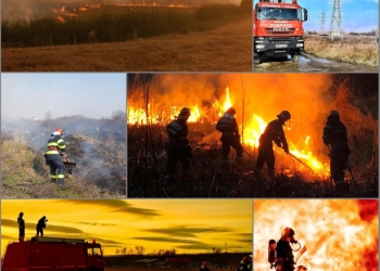 Incendiile de vegetație uscată iau amploare în Timiș