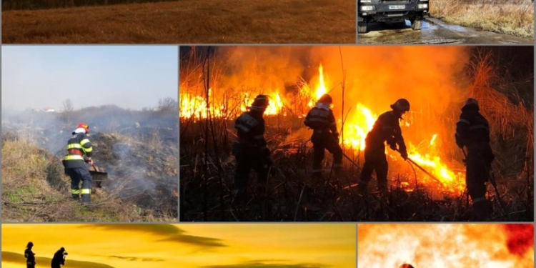 Incendiile de vegetație uscată iau amploare în Timiș