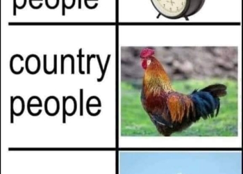 Vă era dor de el?! Avionul care ne dă trezirea revine!