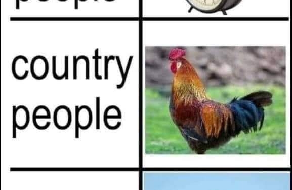 Vă era dor de el?! Avionul care ne dă trezirea revine!