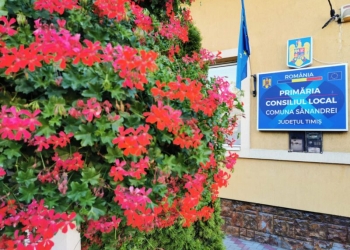 Primăria Sânandrei pornește atacul! A declarat război deschis țânțarilor