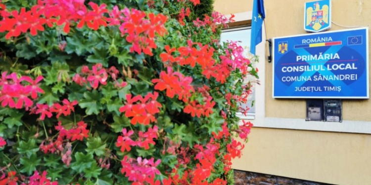 Primăria Sânandrei pornește atacul! A declarat război deschis țânțarilor