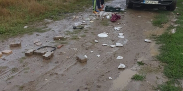 VIDEO Și amendați și puși să curețe gunoiul aruncat! Vezi ce au pățit doi bărbați surprinși că aruncau deșeuri pe un câmp, lângă Timișoara