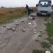 VIDEO Și amendați și puși să curețe gunoiul aruncat! Vezi ce au pățit doi bărbați surprinși că aruncau deșeuri pe un câmp, lângă Timișoara