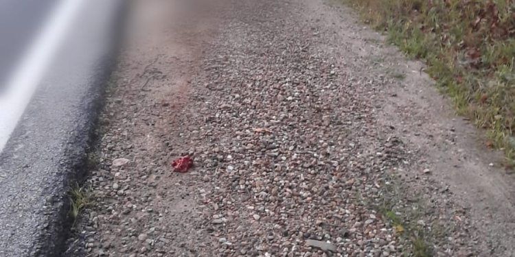UPDATE! Accident oribil în vestul țării! Un bărbat a fost lovit de o mașină și lăsat pe marginea drumului. Șoferul a fugit de la locul accidentului