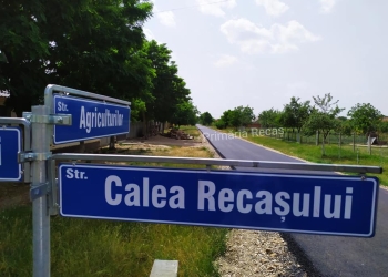 Recașul, exemplu pentru Timiș! Vicepreședintele CJ Timiș, Cristian Moș merge în vizită de lucru să învețe despre cum se asfaltează străzile în timp record