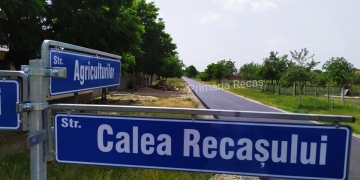 Recașul, exemplu pentru Timiș! Vicepreședintele CJ Timiș, Cristian Moș merge în vizită de lucru să învețe despre cum se asfaltează străzile în timp record