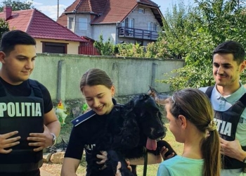 Viața bate filmul! O familie din Arad şi-a regăsit câinele după un an