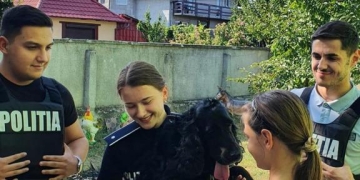 Viața bate filmul! O familie din Arad şi-a regăsit câinele după un an